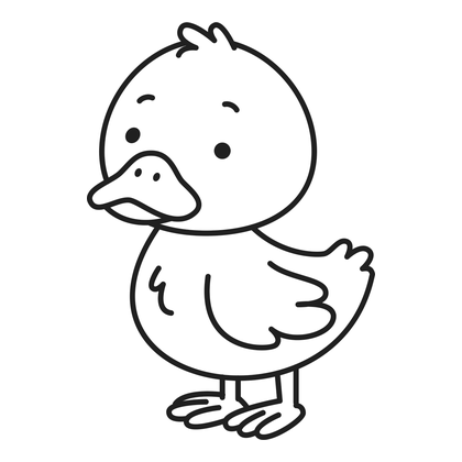 Duck
