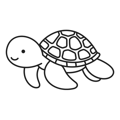 Sea turtle