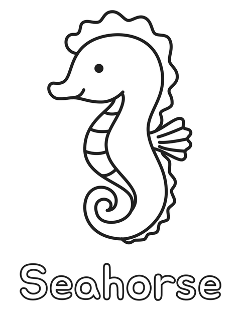 Seahorse coloring page