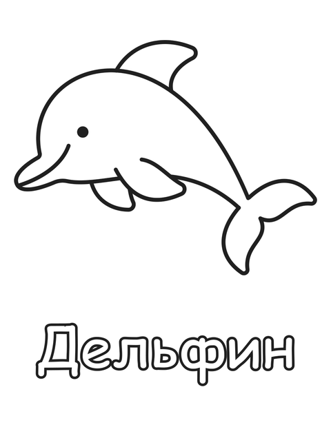 Дельфин раскраска