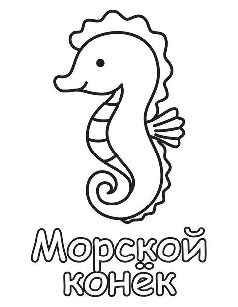 Морской конёк раскраска